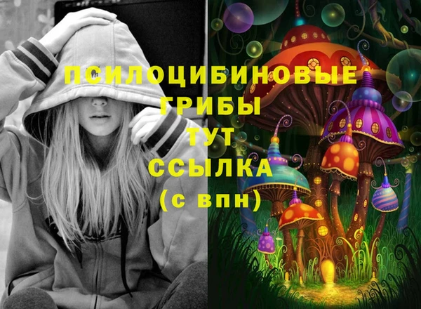 амф Беломорск
