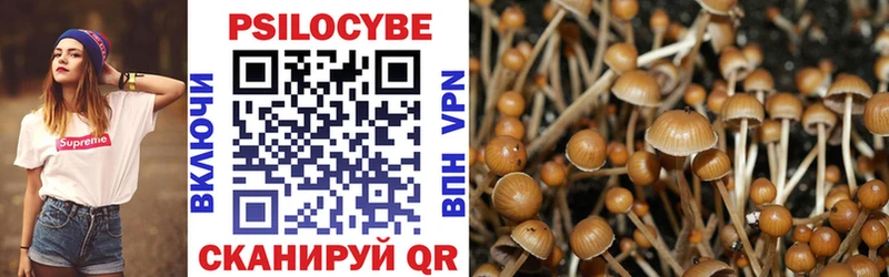 маркетплейс формула  Острогожск  Псилоцибиновые грибы Magic Shrooms 