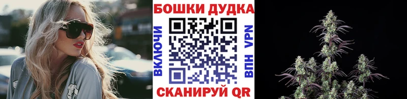 Бошки Шишки конопля  Острогожск 